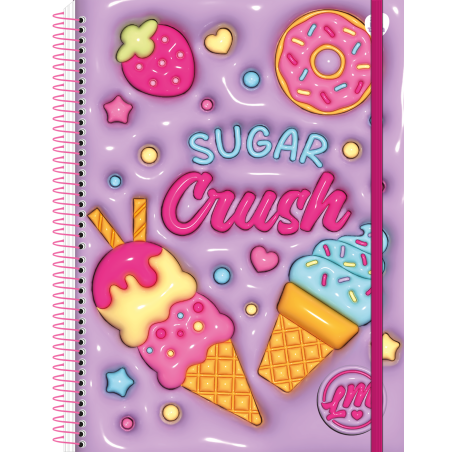 Caderno Universitário Memórias da Lari Espiral 10 Matérias 160 Fls