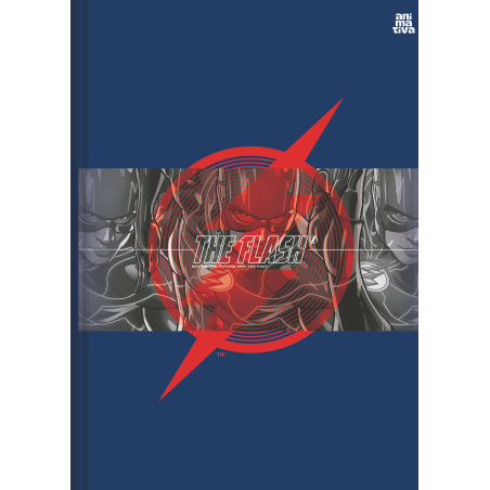 Caderno Brochura The Flash Costurado 80 Fls