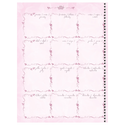 Caderno Universitário Rosa Rose Espiral 1 Matéria 80 Fls