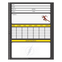 Caderno Universitário The Flash Espiral 1 Matéria 80 Fls