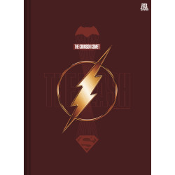 Caderno The Flash - Brochura 1/4 Costurado – 80fls