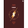 Caderno The Flash - Brochura 1/4 Costurado – 80fls