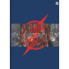 Caderno The Flash - Brochurão Costurado 1/1 – 80fls