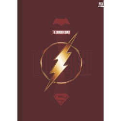 Caderno The Flash - Brochurão Costurado 1/1 – 80fls