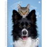 Caderno Universitário My Pets 10M  - 160fls