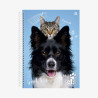 Caderno Universitário My Pets 1M  - 80fls