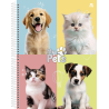 Caderno Universitário My Pets 1M  - 80fls