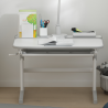 Mesa/Escrivaninha para estudos ou Home Office - Study