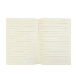 Caderno Cana de Açucar c/ 96 fls. - Bio Dac