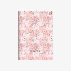 Caderno Brochura Pequeno Educativo Rosa Rose Capa Dura 80 Fls